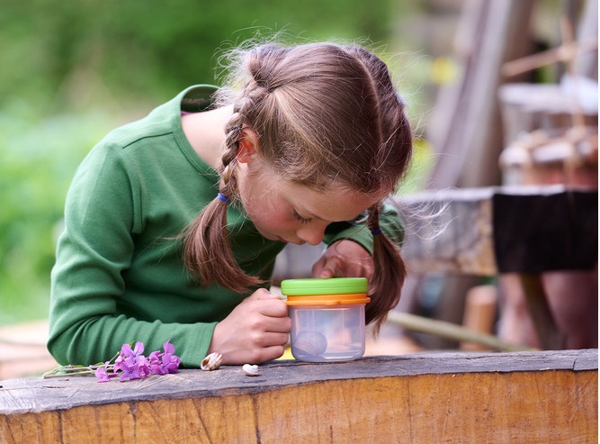 Osservate da vicino le meraviglie della natura con Terra Kids